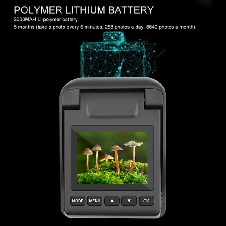 4K Time-Lapse Camera Microlight Full Color Night Vision Security Recording Construction Site Time-Lapse Camera, TL3000 4K Time-Lapse Camera Microlight Full Color Night Vision Security Recording Construction Site Time-Lapse Camera, TL3000